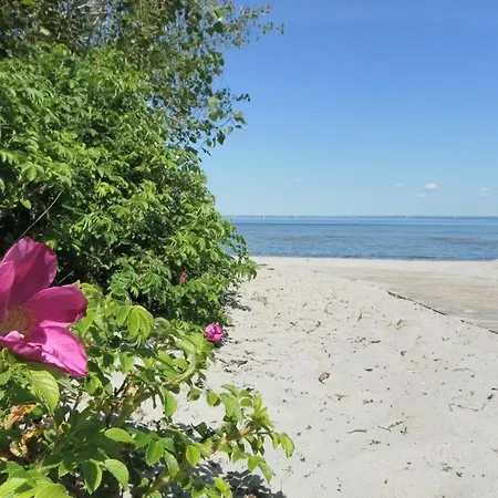 דירה Whg Fritscher *